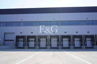 Gewerbeimmobilie mieten in 76437 Rastatt, Neubau Hallenflächen zu vermieten