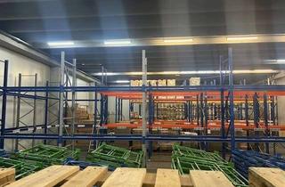 Gewerbeimmobilie mieten in Benzstr. 12, 71384 Weinstadt, Großraumlager