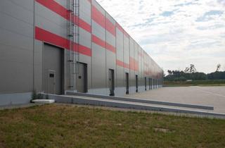 Gewerbeimmobilie mieten in 85435 Erding, Moderne Produktionshalle Erding