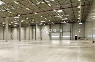 Büro zu mieten in 85435 Erding, Multifunktionale, repräsentative Hallenfläche mit Büro zu vermieten