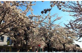 Anlageobjekt in 45329 Altenessen-Nord, Drillingshaus - Kleine junge Wohnanlage. BJ 1994. 1800 m². 28 Wohnungen. TG. Stellplätze