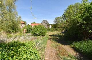 Grundstück zu kaufen in 38329 Wittmar, Grundstück mit Potential - 1.482m² Bauland!