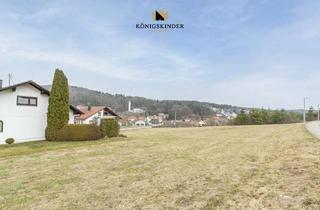 Grundstück zu kaufen in 72393 Burladingen, Provisionsfrei mit Baugenehmigung! Großes Grundstück in bester Lage von Burladingen zu kaufen