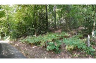 Grundstück zu kaufen in 51647 Gummersbach, Freiraum und Platz; großes Grundstück in beschaulicher Stadtrandlage