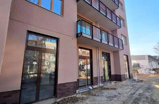 Büro zu mieten in Jacobsohnstraße 52, 13086 Weißensee, Bürofläche im Erstbezug unweit dem Hamburger Platz