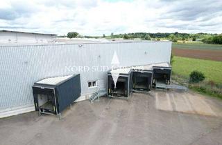 Lager mieten in 77855 Achern, Moderne Halle für Lager und Logistik mit 1.750 m² (teilbar ab 750 m²) mit 4 Laderampen.