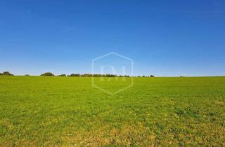 Immobilie kaufen in 51688 Wipperfürth, Grünland in Wipperfürth