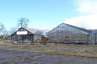 Immobilie kaufen in 29475 Gorleben, Gartenbaubetrieb mit Wohnbungalowin Meetschow, Niedersachsen-Ost (Elbnähe)