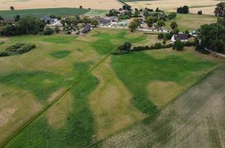 Gewerbeimmobilie kaufen in 17291 Nordwestuckermark, Ca. 70 ha Landwirtschaftsfläche (langfristig verpachtet) in der Nordwestuckermark (provisionsfrei)