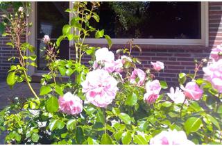 Wohnung mieten in 21271 Hanstedt, Großzügige 4-Zimmer Wohnung mit Terrasse