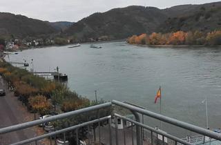 Wohnung mieten in Rheinallee 35, 56154 Boppard, Barrierefreie 2-Zimmer Wohnung mit Balkon in Boppard