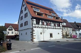 Wohnung mieten in Inselstr. 17, 72654 Neckartenzlingen, Erstbezug im stilvollen Denkmalobjekt „Zehntscheuer“ 2-Z.-Wohnungen im Herzen von Neckartenzlingen