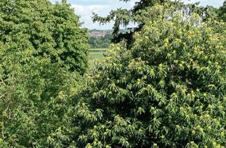 Wohnung mieten in 66740 Saarlouis, Schöne Aussichten