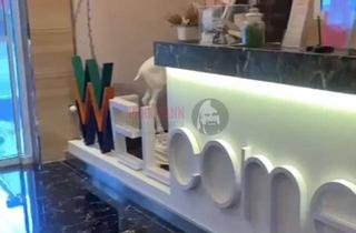 Gewerbeimmobilie kaufen in 66953 Pirmasens, Hotel mit Penthouse und Restaurant zu verkaufen nähe Kaiserslautern