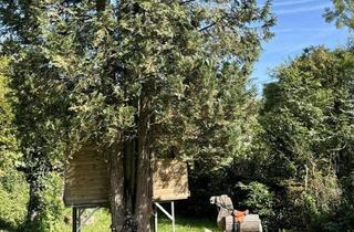 Einfamilienhaus kaufen in 71665 Vaihingen an der Enz, Charmantes Einfamilienhaus mit traumhaft großem Garten - ein Familienparadies mit Baumhaus