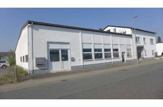 Büro zu mieten in 64521 Groß-Gerau, Beheizbare Lagerhalle mit Büro, Ausstellungs- und Verkaufsfläche in Groß-Gerau