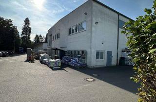 Gewerbeimmobilie mieten in 64739 Höchst, Großzügige Gewerbehalle mit vielen Nutzungsmöglichkeiten