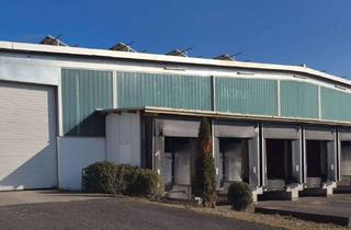 Gewerbeimmobilie mieten in Lagerhausstraße 7-9, 63589 Linsengericht, Professionelle Lagerlösungen im Rhein-Main-Gebiet – provisionsfrei, mit modernem WMS & individuell