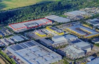 Gewerbeimmobilie mieten in 21035 Allermöhe, ab 01.12.2026 - ca. 62.000m² Logistikimmobilie in HH Allermöhe - provisionsfrei