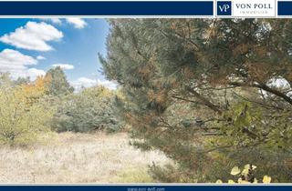 Grundstück zu kaufen in 15517 Fürstenwalde, Großzügiges Baugrundstück für Ihr Wohnglück im Grünen in bester Lage in Fürstenwalde Süd