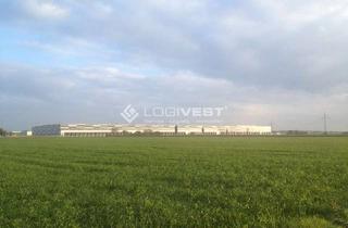 Gewerbeimmobilie kaufen in 04509 Zwochau, Großzügiges Gewerbe- und Industriegrundstück zur Realisierung eines modernen Neubauprojekts