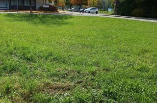 Grundstück zu kaufen in 83355 Grabenstätt, Sonnig, ruhig, idyllisch!