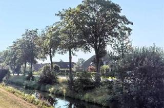 Immobilie kaufen in 26842 Ostrhauderfehn, Holterfehn - Kanallage: Attraktives großes Baugrundstück
