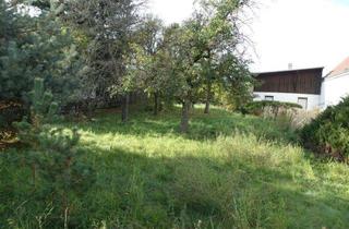 Grundstück zu kaufen in 01936 Schwepnitz, Kleines Wohn- oder Ferienhaus mit großem Charme