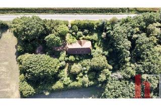 Haus kaufen in 49393 Lohne, Lohne - Wohnhaus mit Nebengebäuden im Dornröschenschlaf in Lohne