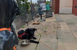 Haus kaufen in 54518 Osann-Monzel, Osann-Monzel - Ferienhaus in Landkern Campingplatz Altes Forsthaus zu verk