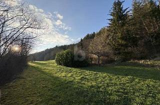 Grundstück zu kaufen in 72172 Sulz, Sulz am Neckar - RUHE UND NATUR MIT EIGENER QUELLE (KEIN BAULAND)