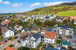 Wohnung kaufen in 78247 Hilzingen, Neuwertige und große Wohnung mit Top-Rendite