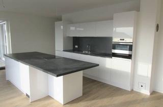 Penthouse mieten in 74831 Gundelsheim, Luxuriöses 5-Zimmer Penthouse mit Balkon in Gundelsheim