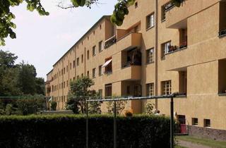 Wohnung mieten in Haverlaher Str. 17, 39110 Stadtfeld West, Wohnung mit Balkon und großem Bad, ruhig gelegen in Stadtfeld West