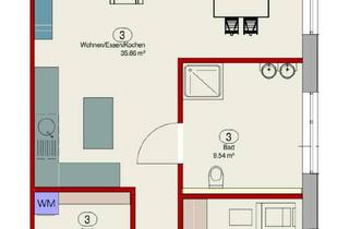 Wohnung mieten in 53909 Zülpich, Helle Neubau-Erdgeschosswohnung mit Terrasse in Zülpich
