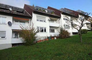 Wohnung mieten in Hangweg 18, 64678 Lindenfels, Sonnige 3ZKBB-Wohnung mit Burgblick