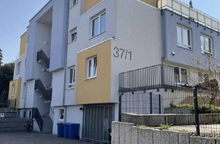 Wohnung mieten in Salinenstraße 37/1, 74172 Neckarsulm, Viel Platz um Ihren Traum vom WOHNEN zu verwirklichen! 5-Zimmerwohnung mit zwei Terrassen!