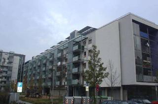 Wohnung mieten in Bad Nauheimer Straße 13, 64289 Darmstadt-Nord, NUR MIT WOHNBERECHTIGUNGSSCHEIN NACH § 88D !! 2-Zimmer-Wohnung sucht Nachmieter
