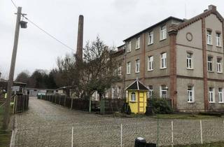 Wohnung mieten in Grenzstraße, 04626 Schmölln, Gepflegte 4-Zimmer-Wohnung mit Garage in Schmölln