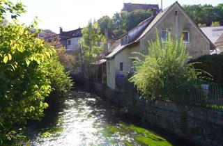 Haus kaufen in 88447 Warthausen, Kleines Haus mit Werkstatt in Warthausen