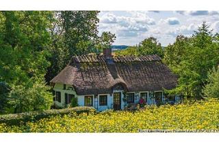Haus kaufen in 24972 Steinberg, Reetkate mit eigenem Wald- echte Alleinlage- Ostsee 4km
