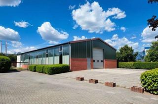 Gewerbeimmobilie kaufen in 49356 Diepholz, Funktionale Halle im Diepholzer Gewerbegebiet zu verkaufen