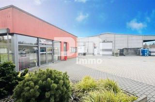 Gewerbeimmobilie kaufen in 63579 Freigericht, Gewerbeensemble Produktionshallen + Bürogebäude und umfangreiche Freiflächen