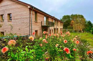 Haus kaufen in Seestraße 17 a, 16775 Großwoltersdorf, Neue 2,5-Zimmer Reihenmittelhäuser nahe Berlin, in paradiesischer Natur und Stille. Provisionsfrei.