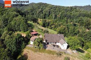 Bauernhaus kaufen in 77728 Oppenau, Bauernhof in traumhafter Landschaft !