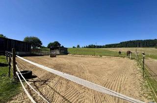 Haus kaufen in 91281 Kirchenthumbach, Reiterparadies & Mehr: Großzügiges Anwesen mit Hallen, Sandreitplatz und Ausbaupotenzial