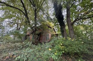 Haus kaufen in Geschwister-Scholl-Straße 18, 19249 Lübtheen, Charmantes Fachwerkhaus im Grünen