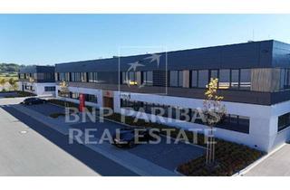 Büro zu mieten in Nicolaus-Otto-Ring, 85098 Großmehring, Logistikhalle & Büro im Segro-Park ab sofort zu vermieten