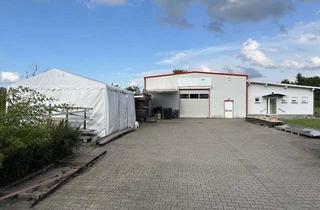 Büro zu mieten in 04838 Eilenburg, Vielseitig nutzbares Gewerbeobjekt: Büro, Halle, Lager Grundstück- alles in einem