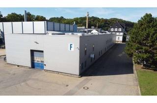 Gewerbeimmobilie mieten in 01809 Dohna, Hallen- und Lagerflächen in 01809 Dohna (Gebäude F1)